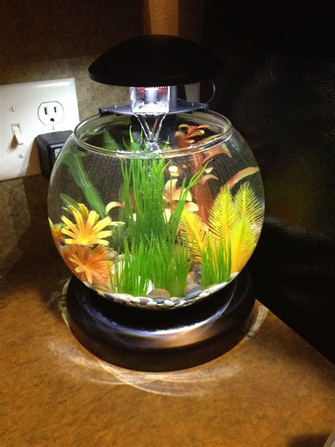 beta fish tank|Betta Fish Tanks: Aquariums & Bowls .
